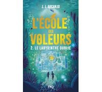Crookhaven - Tome 02 : Le labyrinthe oublié (2)