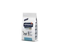 Advance Pet GASTRO SENSITIVE croquette pour chat 1,5 kg Adulte