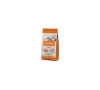 Croquette chat nv ori saumon 1,25 kg NATURE'S VARIETY 927173 Saumon