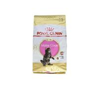 ROYAL CANIN Maine Coon Kitten - aliments secs pour chatons - 4 kg