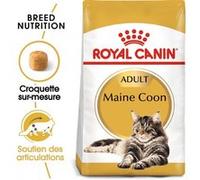 Croquette chat royalcanin mainecoon 4kg ROYAL CANIN 25500400 G
