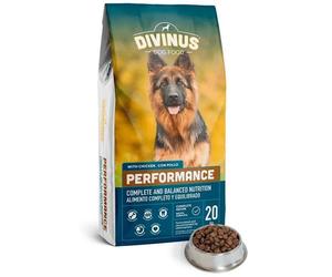 Croquette - DIVINUS PERFORMANCE - 20 kg - Protéines 32% - Adultes/Seniors