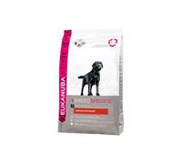 Eukanuba Chien Nourriture sèche Labrador Retriever Poulet 12kg