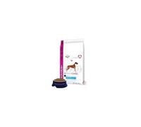Croquettes Au Poulet Daily Care - Articulations Sensibles - Toutes Races - 12,5kg - Pour Chien Adulte