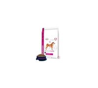 Croquettes Au Poulet Daily Care - Digestion Sensible - Toutes Races - 12,5kg - Pour Chien Adulte