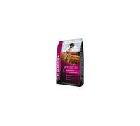 Eukanuba PREMIUM PERFORMANCE 15 kg Adulte Poulet, Dinde