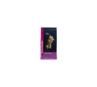 Eukanuba Croquettes pour chaton Kitten Healthy Start – Poulet frais & riz, DHA, Sans blé – 2 kg