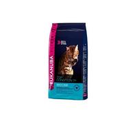 Croquettes chat senior sac 2 kg