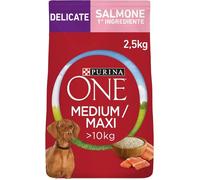 Croquettes chien - Purina ONE - Medium/Maxi 10 kg - Saumon 1er ingrédient - Oméga-3 - Prébiotique