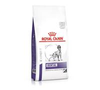 Croquettes Chien Veterinary Dog Dental - Royal Canin