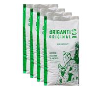 Croquettes d'entretien pour chiens adultes, 20 kg, nourriture complète italienne, 24 % protéines, vitamines et minéraux, sans colorants et sans conservateurs (4 sacs de 20 kg)
