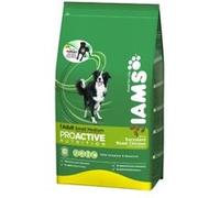 Croquettes iams adulte petites et moyennes races sac 12 kg G