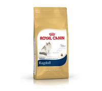 ROYAL CANIN Ragdoll Adult 2kg