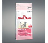 ROYAL CANIN Kitten 2kg