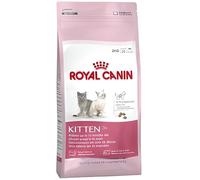 Croquettes pour chatons - Royal Canin - Kitten 36 - Digestion sensible - Sac 4 Kg