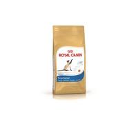 Croquettes pour chats royal canin siamese 38 sac 2 kg