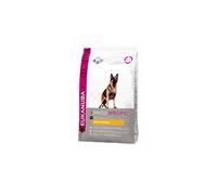 Eukanuba 8710255120393 Alimentation sèche pour chiens 12 kg Adulte