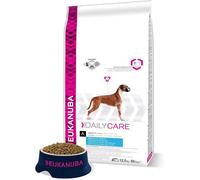 Eukanuba Daily Care articulations sensibles 12kg+ Surprise grtuite pour votre chien