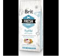 Brit Dog Fresh poisson & potiron Large Breed 12kg