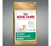 Croquettes pour chiot Golden Retriever - ROYAL CANIN - 3kg - Aliment complet pour chien junior