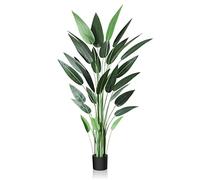 CROSOFMI Artificiel Canna Lily Tree 180cm Faux Palmier Tropical avec 28 Troncs, Parfaites Grandes Plantes en Faux Soie en Pot pour Intérieur Extérieur Maison Bureau Jardin Décoration Moderne