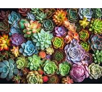Cross & Glory Puzzles de 1000 pièces pour adultes | Symphonie succulente