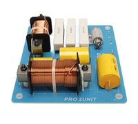 Crossover 2 Voies, 800 W, Diviseur de Fréquence Professionnel pour Haut-Parleur de Conférence sur Scène Extérieure, Son de qualité Supérieure, Haute Performance, Largement