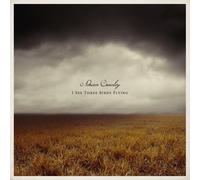 Crowley, Adrian - I See Three Birds Flying