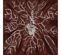 Crown Shyness