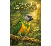 Crowned in Green and Gold: The Senegal Parrot’s Majestic Presence and Gentle Spirit