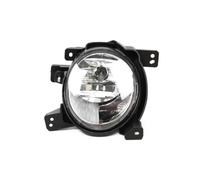 CRRYUQWWM Ensemble De Phares Antibrouillard 92201-2b500 Pour Hyundai Pour Santa Fe 2.4 2009-2012 Feu Antibrouillard Avant Avec Ampoule Feux Jour DRL(côté droit)