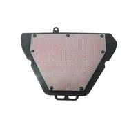 CRRYUQWWM Filtre À Air Réutilisable pour Moto pour Triumph pour Speed pour Tiger 1050 GT St ABS OEM : T2204820 Carburateur Moteur