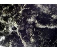 CRS Fur Fabrics Super Luxe Fausse Fourrure Tissu Matériau - Ours Noir