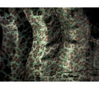 CRS Vendor LTD. Tissu Velboa Imitation Fourrure Vert léopard