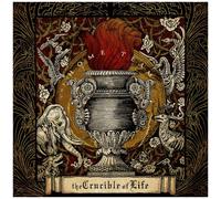 Crucible Of Life