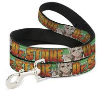 Crunchyroll Laisse pour chien avec logo Dr Stone Title et visage Suika Gros plan Vert 1,2 m de long 3,8 cm de large