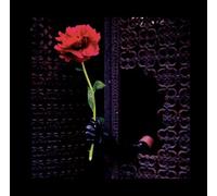 Crush of Souls - (a)Void Love