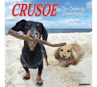 Crusoe the Celebrity Dachshund 2026 12 X 12 Wall Calendar by Ryan Beauchesne