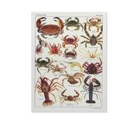crustacé Vintage，Jigsaw Puzzle 1000 Pièces pour Adultes Enfants Puzzle en Papier ， Divertissement Bricolage Jouets Jeux De Famille Créatif（50x70cm）-BL81