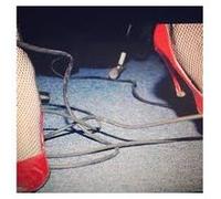 Cry is for the flies