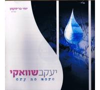 Cry No More by Yaakov Shwekey