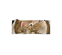 Cry Rabbit Print Baby Bow Headband - Cadeau pour les nouveau-nés, parfait pour les nourrissons, les filles - Accessoires de cheveux de princesse douce