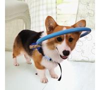 Cryfokt Anneau pour Animaux de Compagnie, Collier Non Toxique, Léger, pour Prévenir Les Accidents, Chien Aveugle, Aile d'ange Bleue en Toute sécurité pour Chiens Aveugles (S)