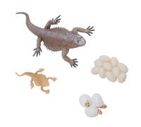 Cryfokt Figurine de Cycle de Vie de Lézard, Jouet Modèle éducatif Réaliste pour la Décoration de la Maison et de L'école