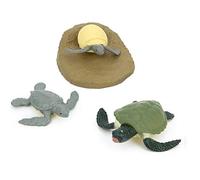 Cryfokt Jouet Modèle de Cycle de Vie d'animal en PVC, Kit d'apprentissage Engageant pour Les Enfants, Texture Réaliste, sans Danger pour Les Enfants à Explorer (Cycle de Croissance des Tortues)