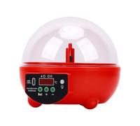 Cryfokt Mini Incubateur D'Œufs avec Lampe Candler, Capacité de 6 Œufs | Petite couveuse automatique, matériau ABS, alimentée par USB, pour œufs de poulet, de canard et de caille