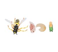 Cryfokt Modèle de Cycle de Croissance d'abeille Guêpe, Figurines d'action de Simulation Réalistes pour L'éducation Précoce, Cadeau Parfait pour Les Enfants, Chambre à Coucher, étude en Plastique