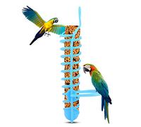 Cryfokt Panier d'alimentation pour Perroquets, Support de Perchoir en Plastique, Conception Solide et Sûre, Crochet Supérieur pour Suspendre, pour Perroquets de Petite à Moyenne Taille (Blue)
