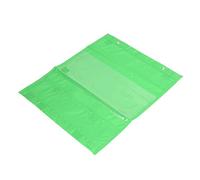 Cryfokt Tableau de Poche Magnétique Transparent à 5 Rangées, pour L'enseignement et L'affichage des Activités en Classe, Polyester PVC pour L'école à Domicile (GREEN)