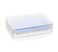 CryoKing Plaque filtrante microporeuse à 96 puits, 300 μL, 0,22 μm, membrane en nylon hydrophile, amovible, pour filtration en laboratoire, analyses d'Elispot, Pampa et dépistage cellulaire, 1 pièce